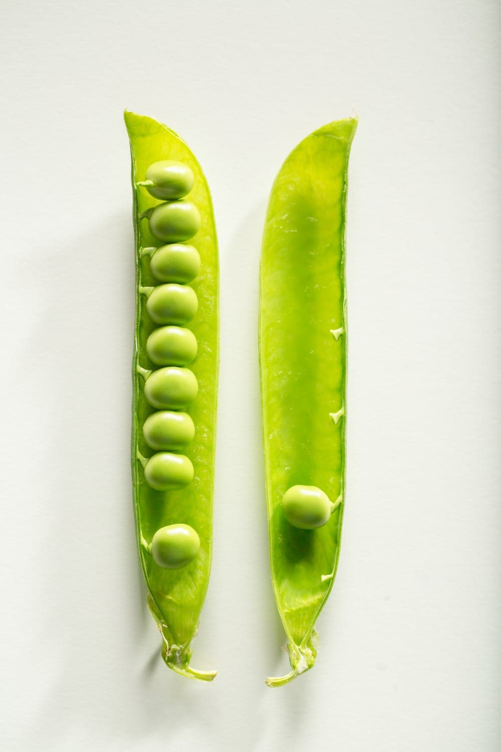 WHEY VS. PEA PROTEIN POWDER? — article image 3